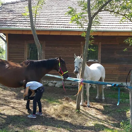 Gasthof Deru Vendeghaz Es Lovasudvar