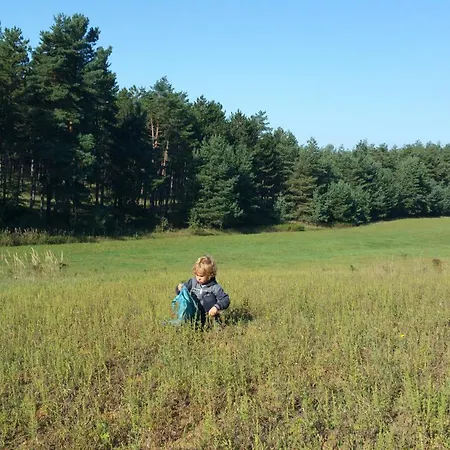 Deru Vendeghaz Es Lovasudvar Fenyofo