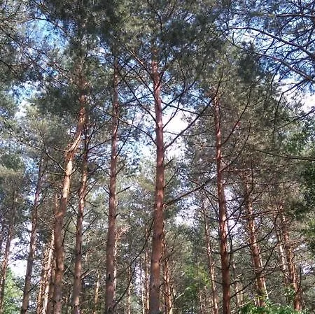 Gasthof Deru Vendeghaz Es Lovasudvar Fenyofo