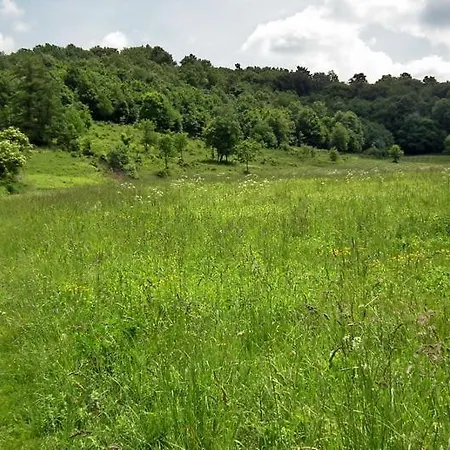 Gasthof Deru Vendeghaz Es Lovasudvar