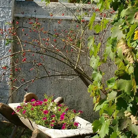 Deru Vendeghaz Es Lovasudvar 3*