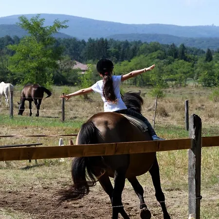 Deru Vendeghaz Es Lovasudvar 3*