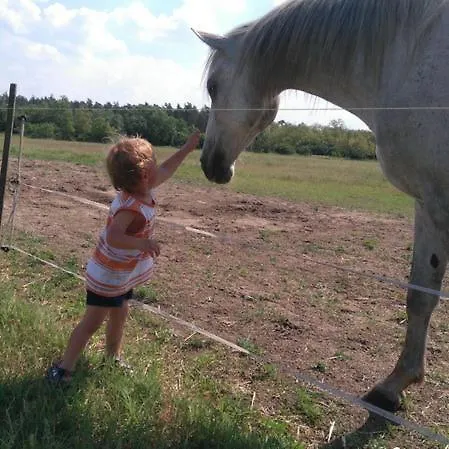 Deru Vendeghaz Es Lovasudvar Fenyofo