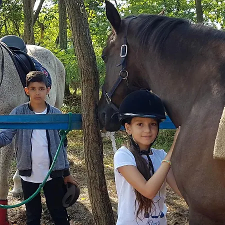 Gasthof Deru Vendeghaz Es Lovasudvar