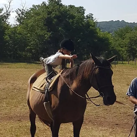 Deru Vendeghaz Es Lovasudvar Gasthof Fenyofo