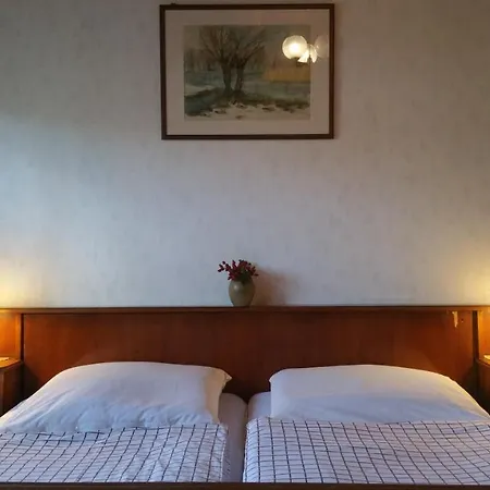 Gasthof Deru Vendeghaz Es Lovasudvar 3*