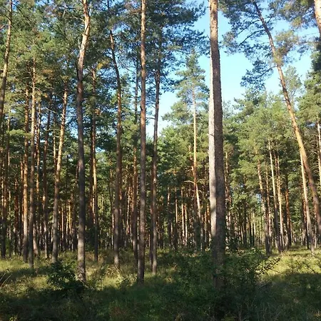 Deru Vendeghaz Es Lovasudvar Gasthof Fenyofo