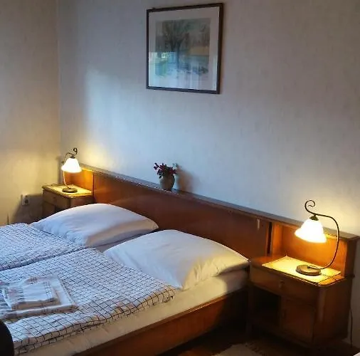 Vendégház Derű és Lovasudvar Fenyőfő